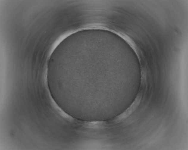 X0000113181390200909181844