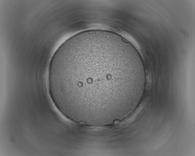 X0000113181391200909181844