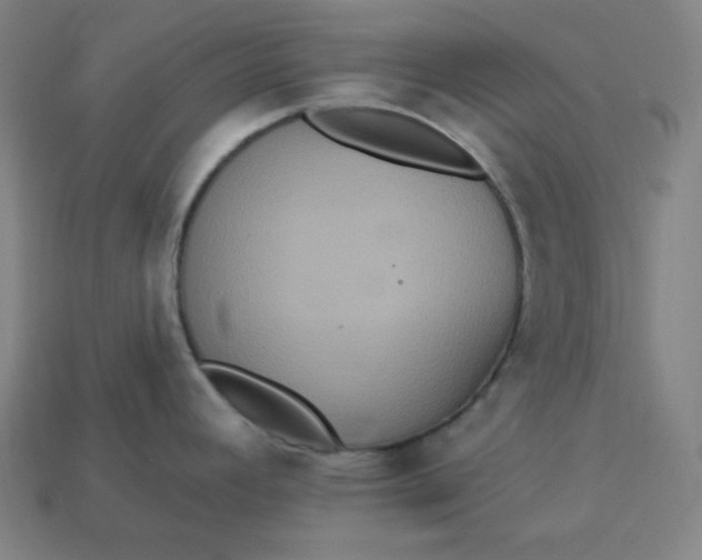 X0000113181392200909181844