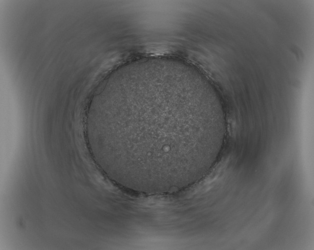 X0000113181393200909181843