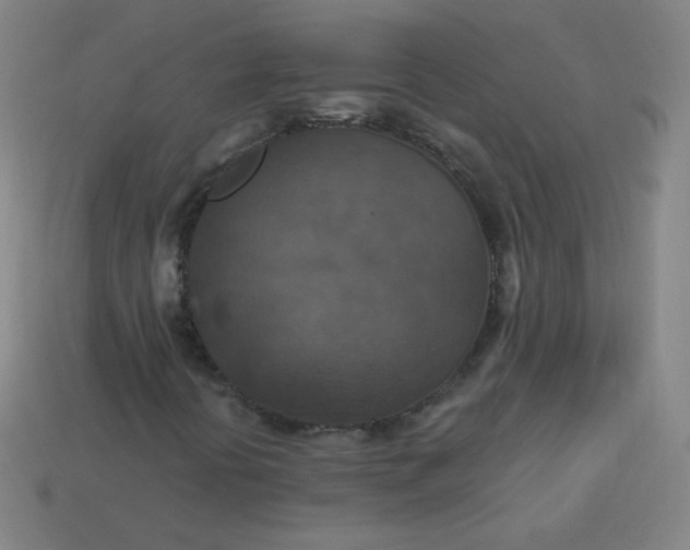 X0000113181394200909181843