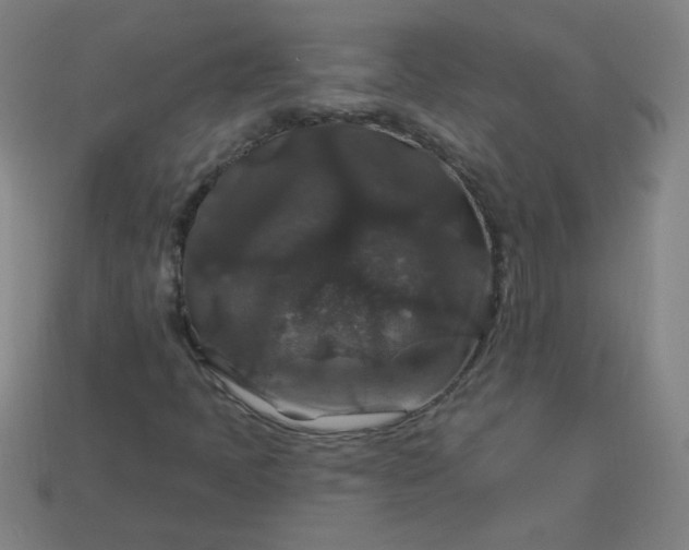 X0000113181397200909181843