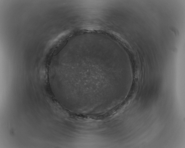 X0000113181398200909181843