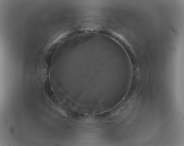 X0000113181399200909181843