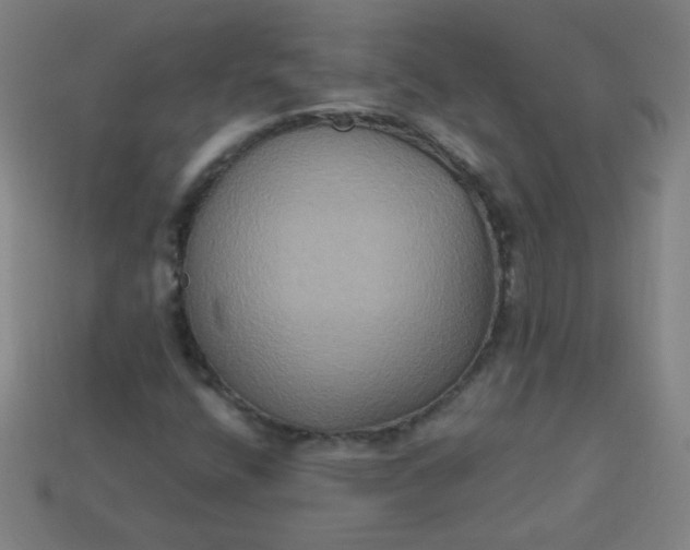 X0000113181400200909181843