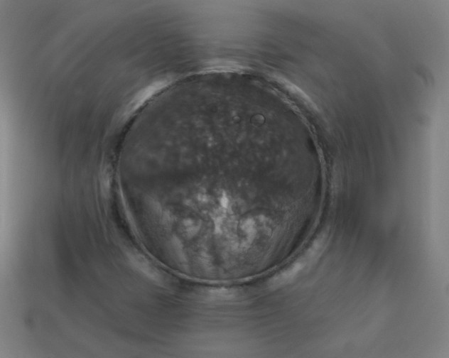 X0000113181401200909181843