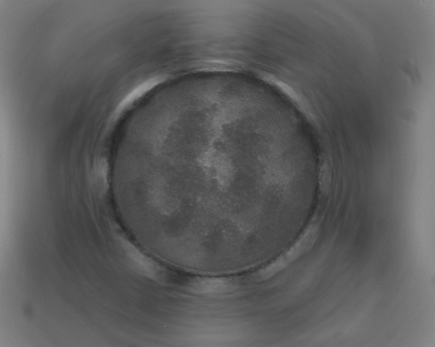 X0000113181402200909181843