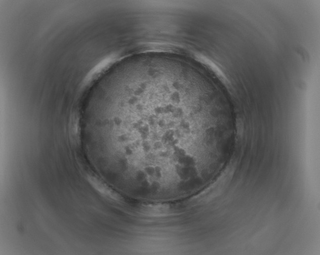 X0000113181403200909181843