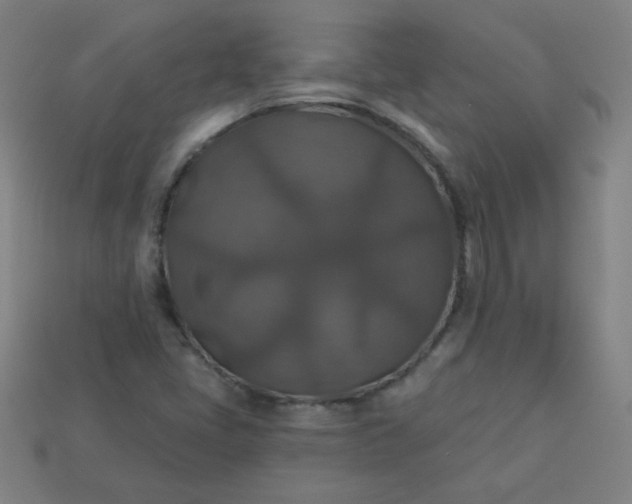 X0000113181405200909181843