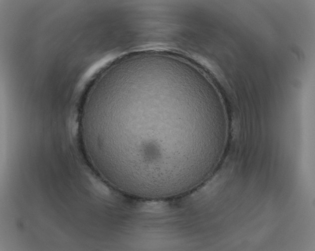 X0000113181406200909181843