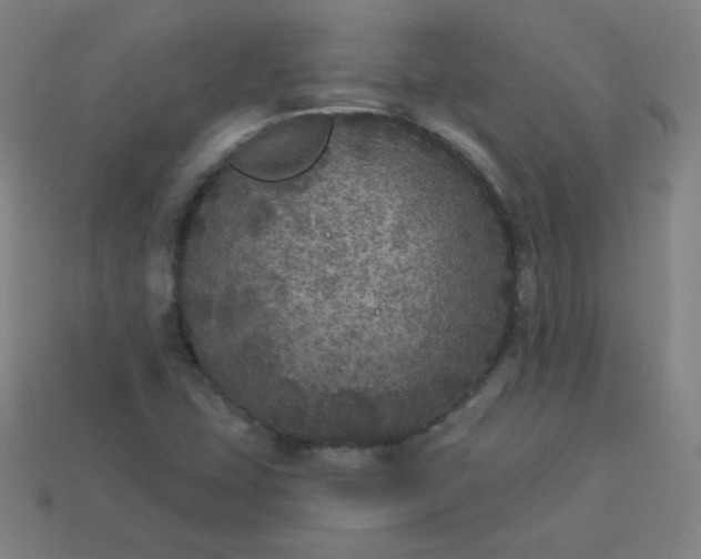 X0000113181407200909181843