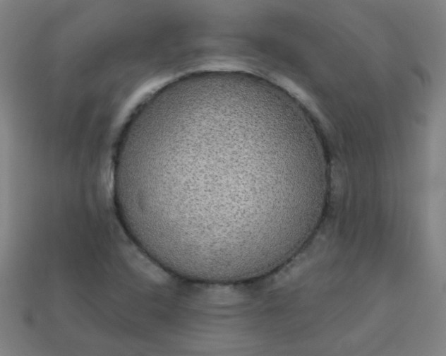 X0000113181408200909181843