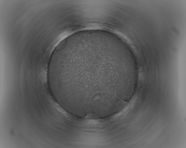 X0000113181409200909181843