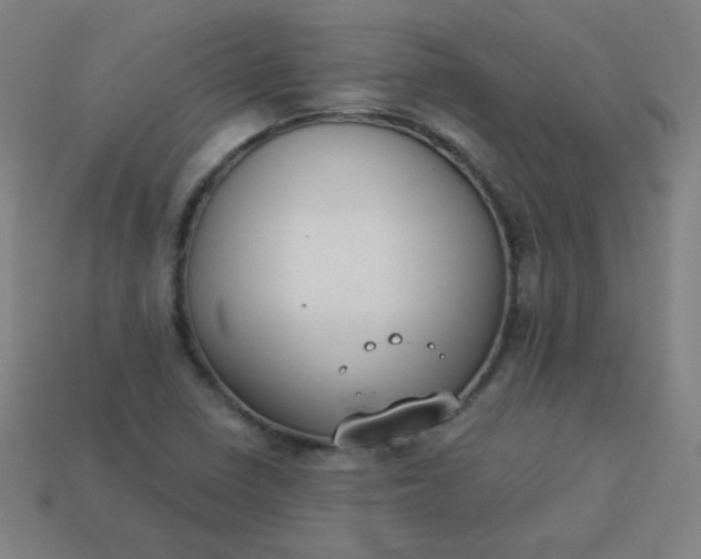 X0000113181410200909181843