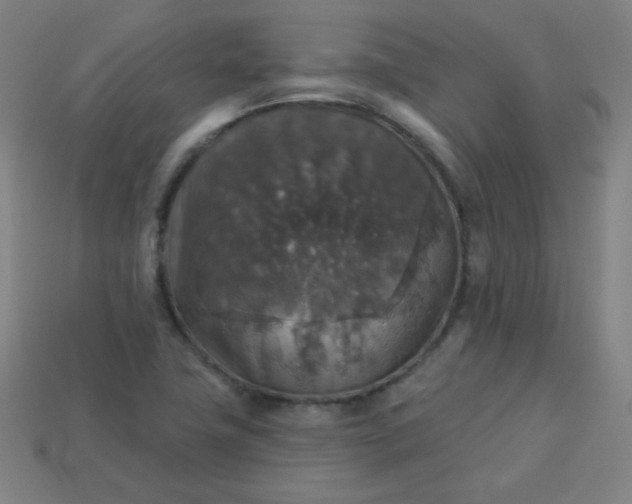 X0000113181411200909181843