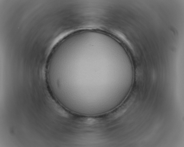 X0000113181412200909181843