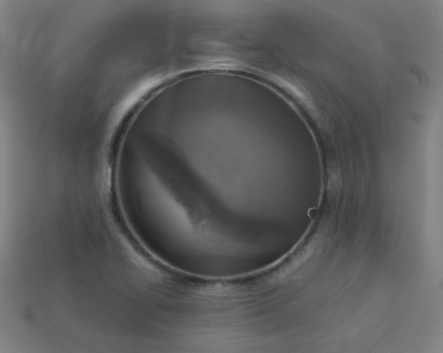 X0000113181414200909181843