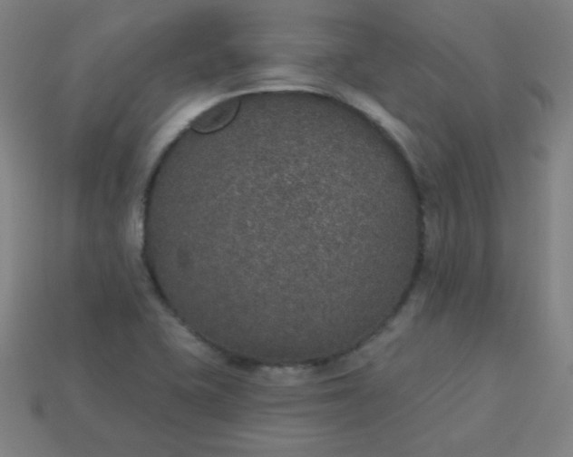 X0000113181415200909181843