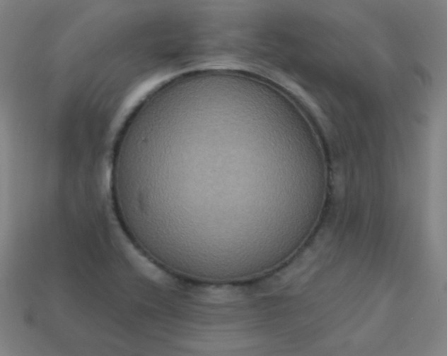 X0000113181416200909181843