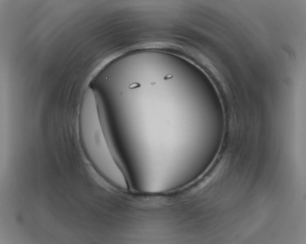 X0000113181417200909181843