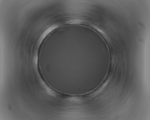 X0000113181418200909181844