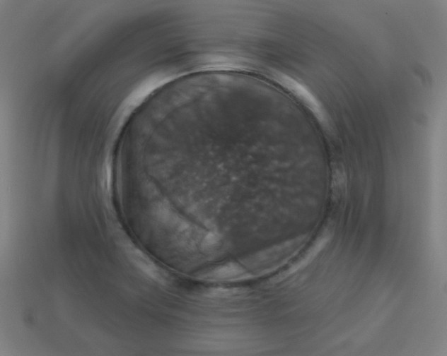 X0000113181419200909181844