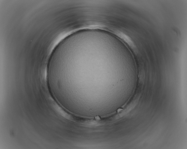 X0000113181420200909181844