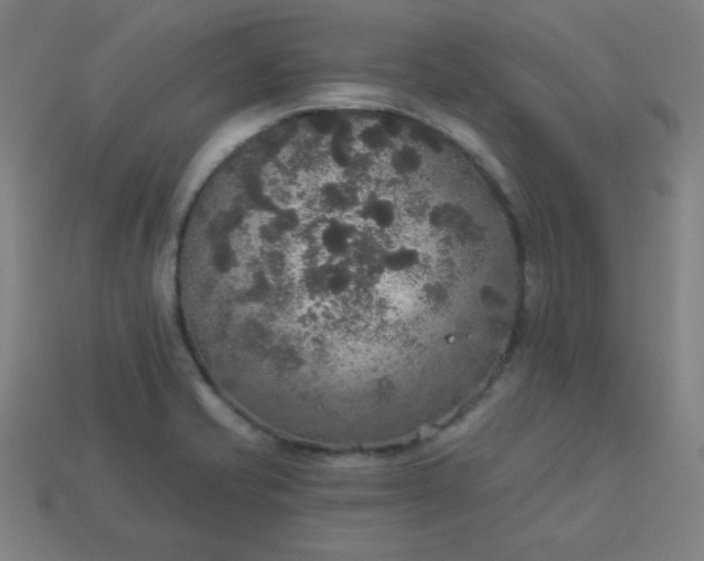 X0000113181421200909181844