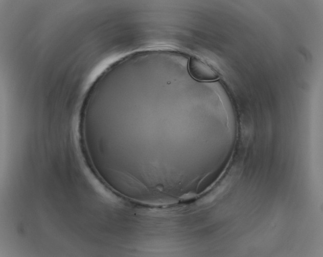 X0000113181422200909181844