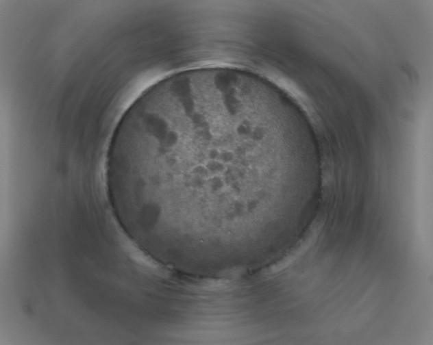 X0000113181423200909181844