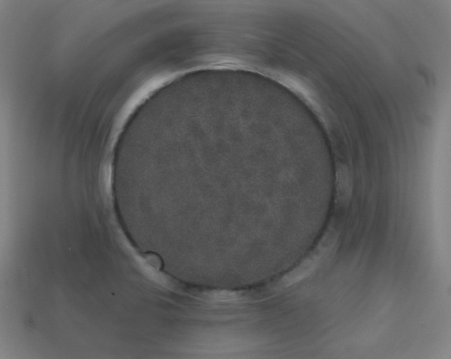 X0000113181424200909181844