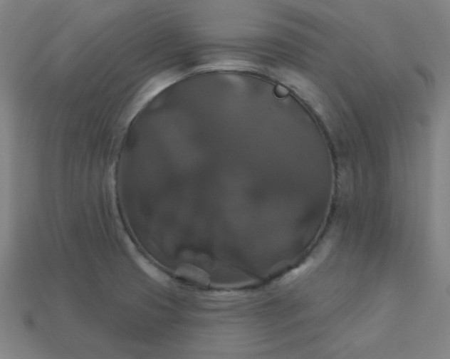 X0000113181425200909181844