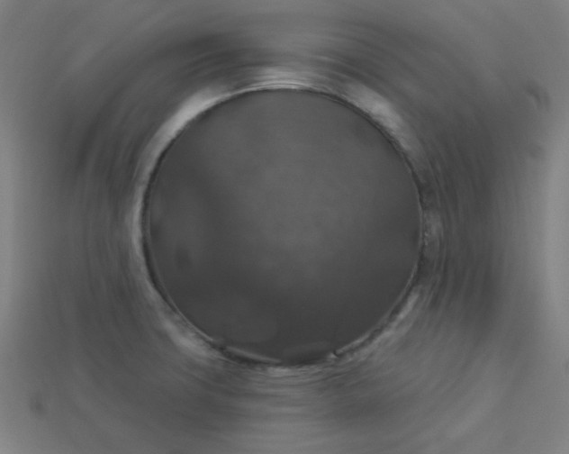 X0000113181427200909181844