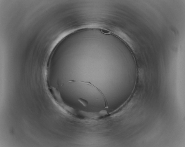 X0000113181428200909181844