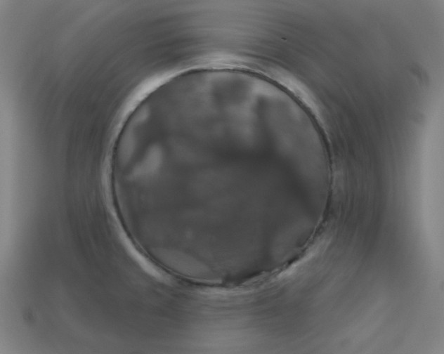 X0000113181429200909181844