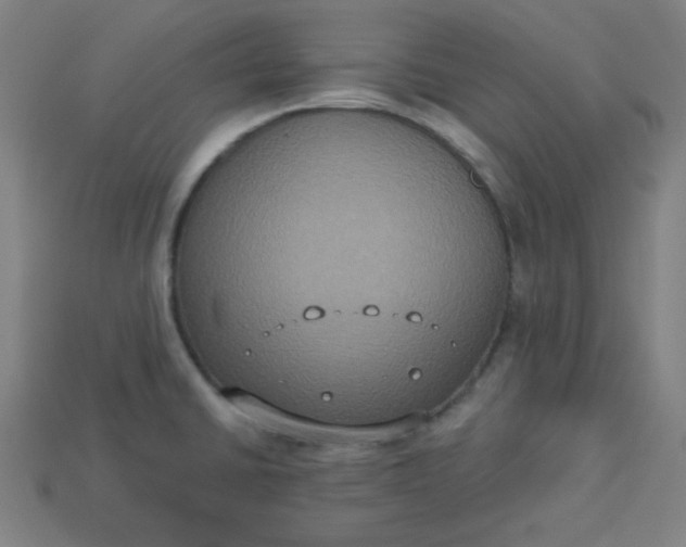 X0000113181430200909181844