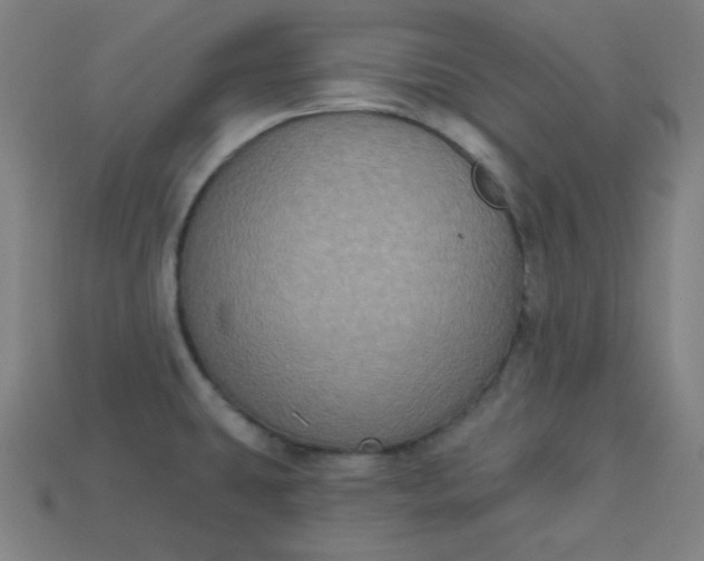 X0000113181431200909181844