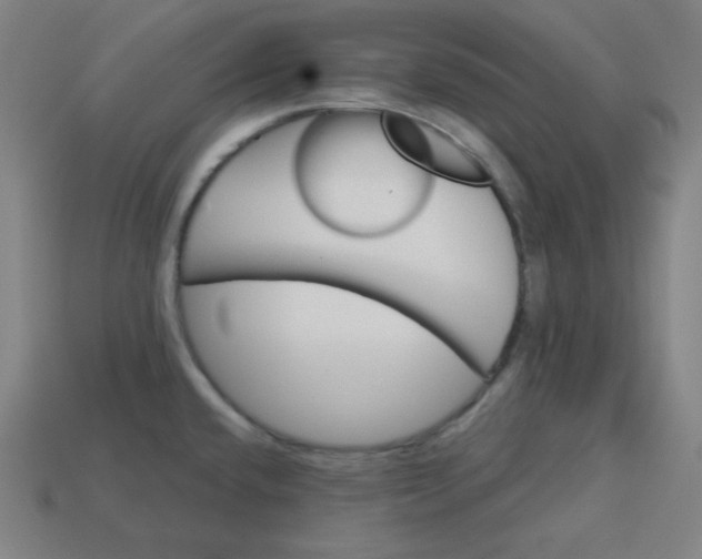 X0000113181432200909181844