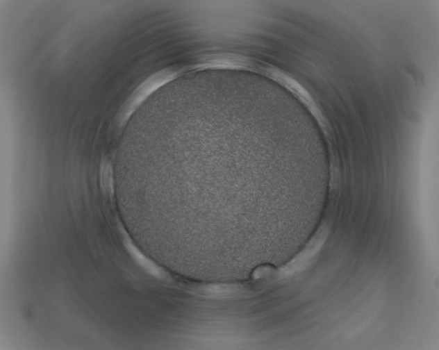 X0000113181433200909181844