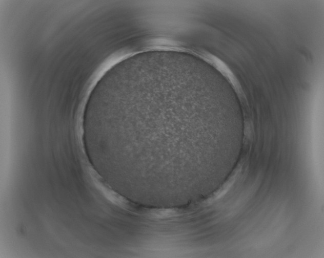 X0000113181435200909181844