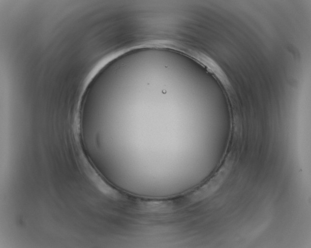 X0000113181436200909181844