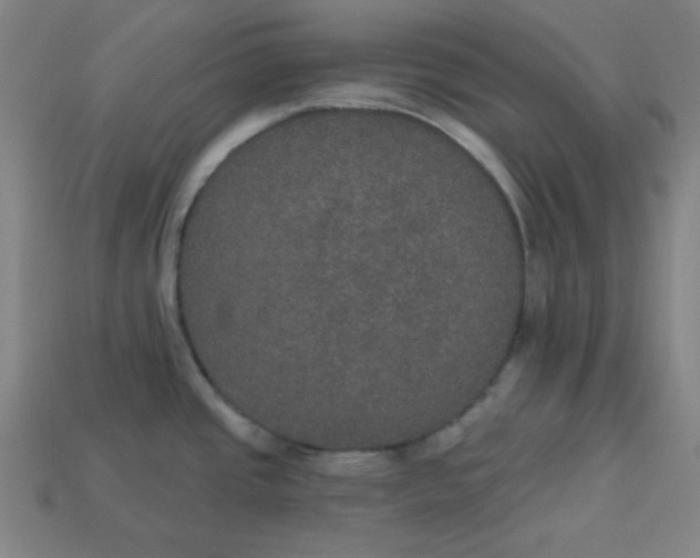 X0000113181437200909181844