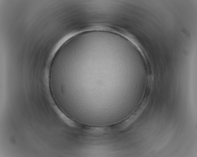 X0000113181438200909181844