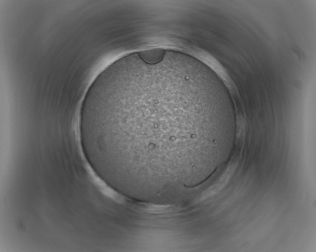 X0000113181439200909181844