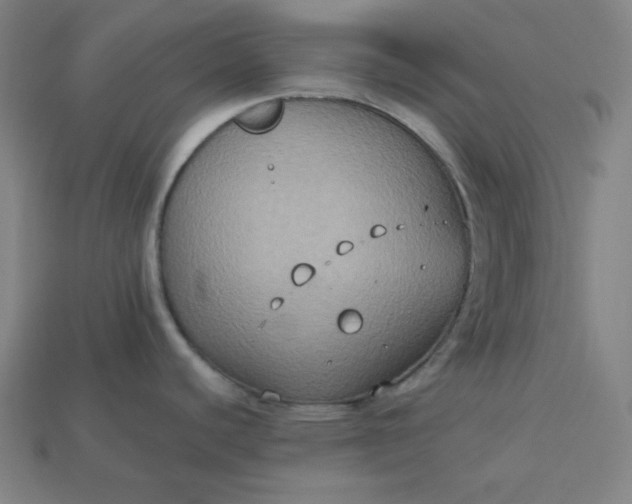 X0000113181440200909181844