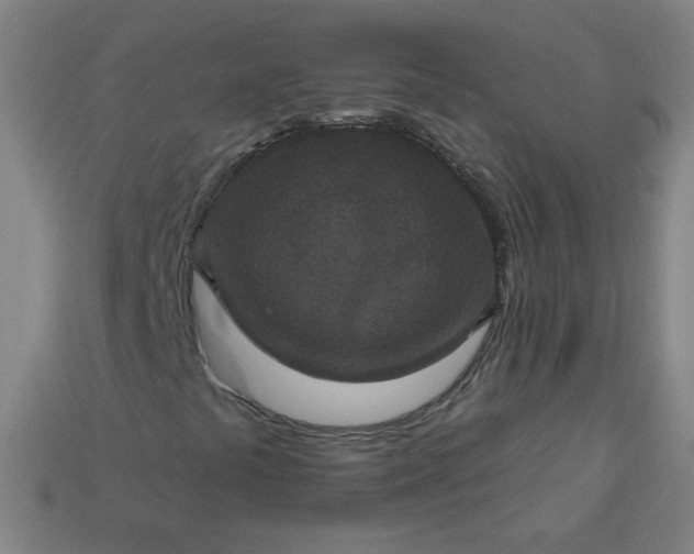 X0000113181441200909181843