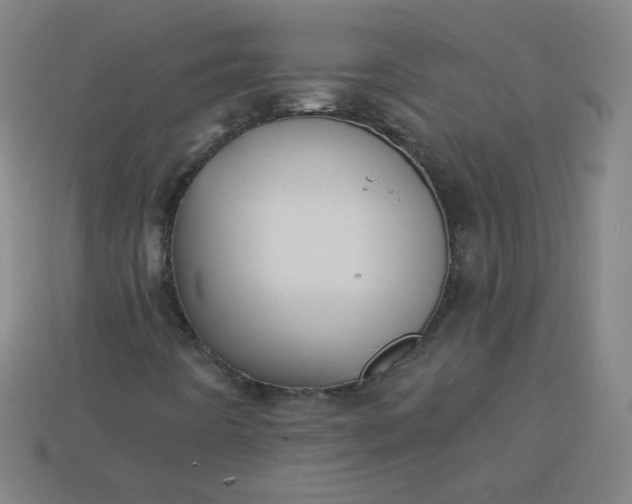 X0000113181442200909181843