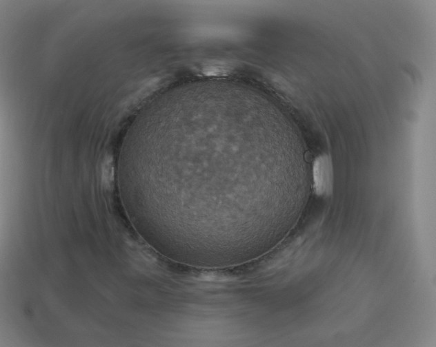 X0000113181443200909181843