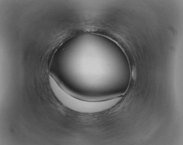 X0000113181444200909181843