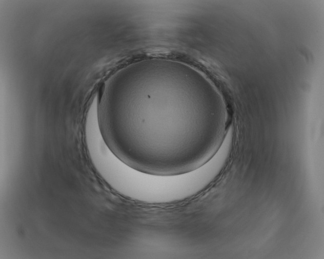 X0000113181445200909181843